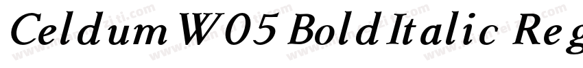 CeldumW05 BoldItalic Regular字体转换